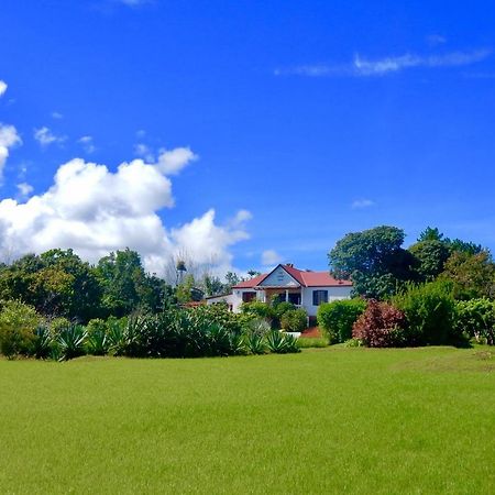 The Litchi Tree Amber Mountain Boutique Hotel Ambohitra Exterior foto