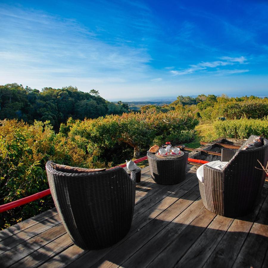 The Litchi Tree Amber Mountain Boutique Hotel Ambohitra Exterior foto